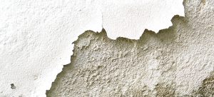 Dealing with a Damp Basement