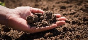 Choosing the Best Foundation for Soil Types